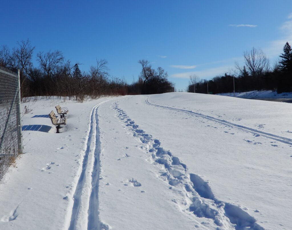 Could Ottawa South be next for a multi-use winter trail?